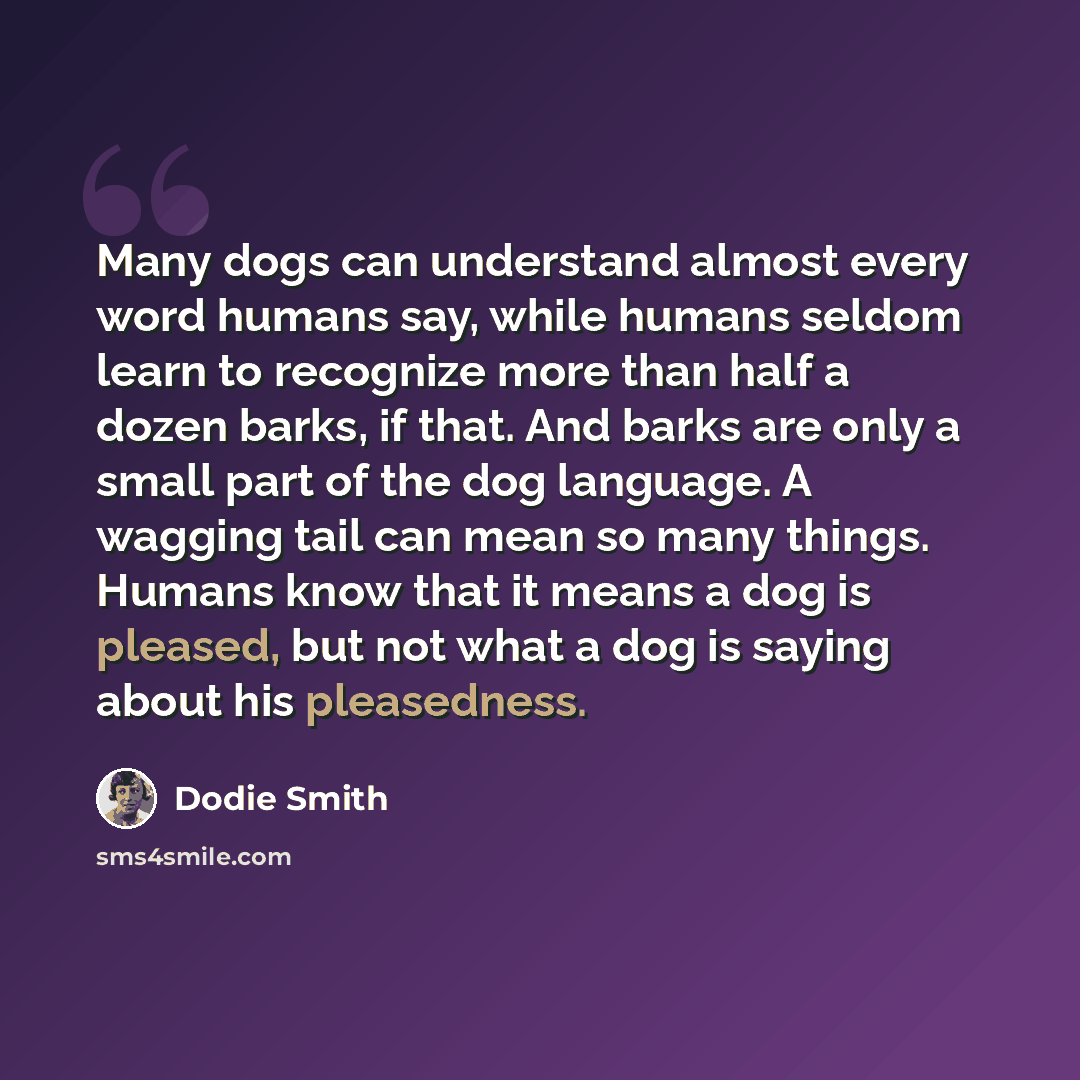 “Many dogs can understand almost every word humans say, while humans seldom learn to recognize more than half a dozen barks, if that. And barks are only a small part of the dog language. A wagging tail can mean so many things. Humans know that it means a dog is pleased, but not what a dog is saying…” quote by Dodie Smith