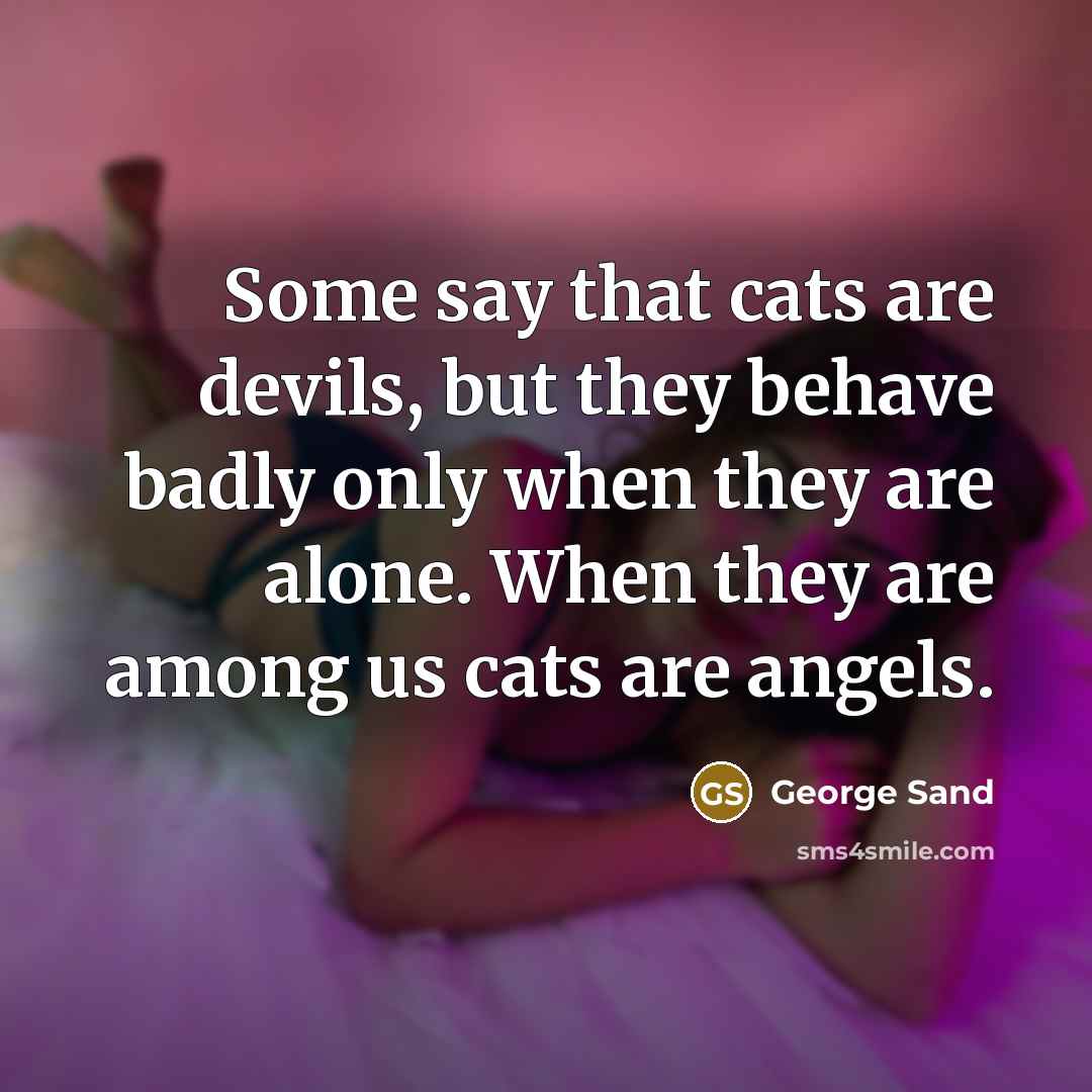 “Some say that cats are devils, but they behave badly only when they are alone. When they are among us cats are angels.” quote by George Sand