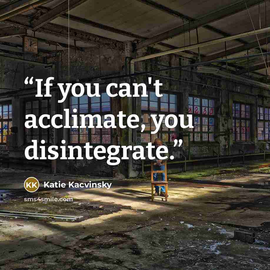 “If you can't acclimate, you disintegrate.” quote by Katie Kacvinsky