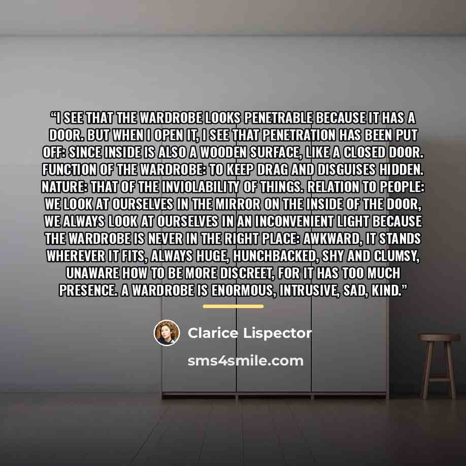 “I see that the wardrobe looks penetrable because it has a door. But when I open it, I see that penetration has been put off: since inside is also a wooden surface, like a closed door. Function of the wardrobe: to keep drag and disguises hidden. Nature: that of the inviolability of things. Relation…” quote by Clarice Lispector