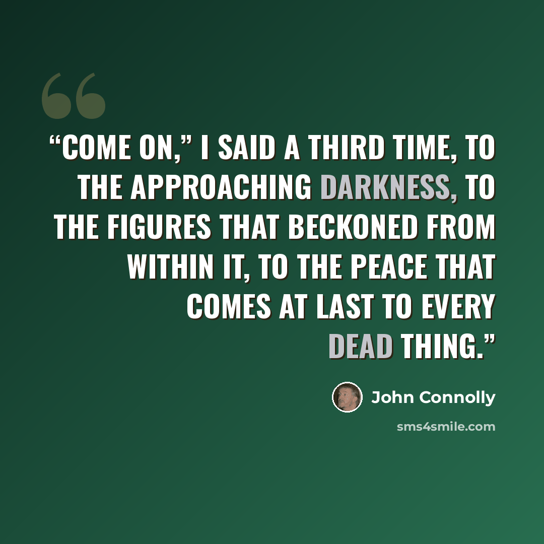 “Come on,” I said a third time, to the approaching darkness, to the figures that beckoned from within it, to the peace that comes at last to every dead thing.” quote by John Connolly