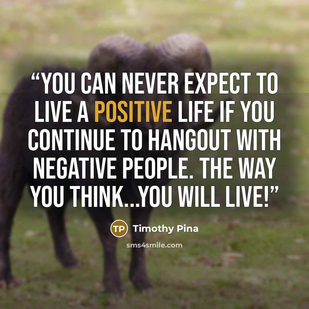 “You can never expect to live a positive life if you continue to hangout with negative people. The way you think...you will live!” quote by Timothy Pina