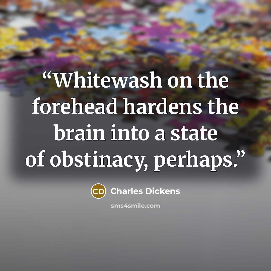 “Whitewash on the forehead hardens the brain into a state of obstinacy, perhaps.” quote by Charles Dickens