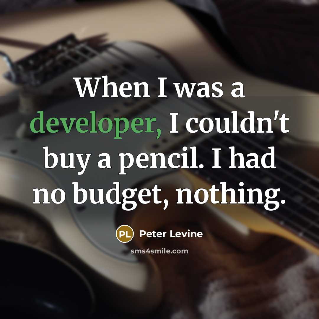 “When I was a developer, I couldn't buy a pencil. I had no budget, nothing.” quote by Peter Levine