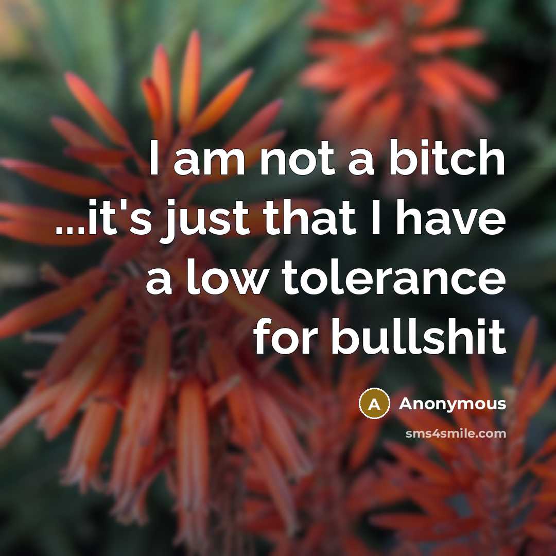 “I am not a bitch ...it's just that I have a low tolerance for bullshit” quote by Anonymous
