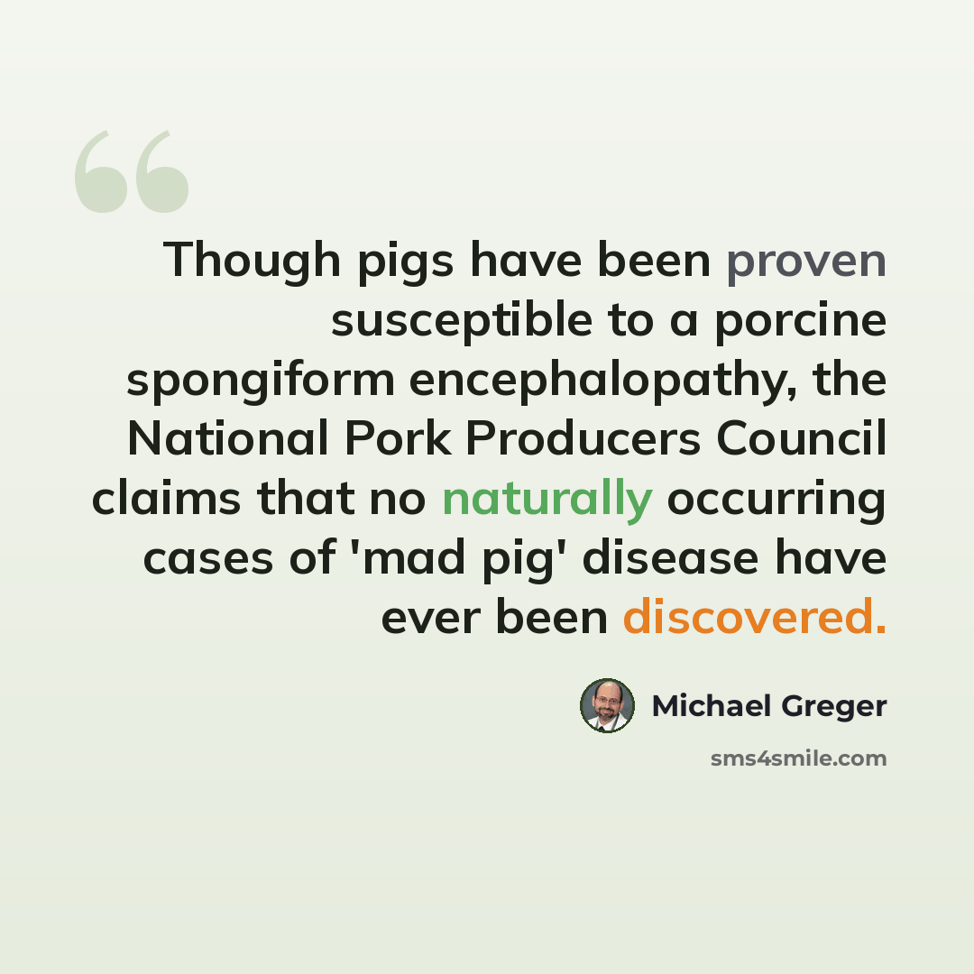 “Though pigs have been proven susceptible to a porcine spongiform encephalopathy, the National Pork Producers Council claims that no naturally occurring cases of 'mad pig' disease have ever been discovered.” quote by Michael Greger