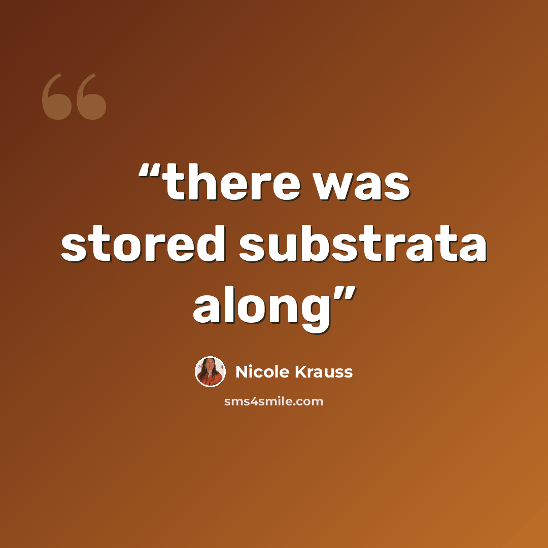 “there was stored substrata along” quote by Nicole Krauss