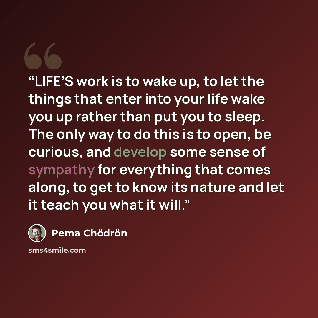“LIFE’S work is to wake up, to let the things that enter into your life wake you up rather than put you to sleep. The only way to do this is to open, be curious, and develop some sense of sympathy for everything that comes along, to get to know its nature and let it teach you what it will.” quote by Pema Chödrön
