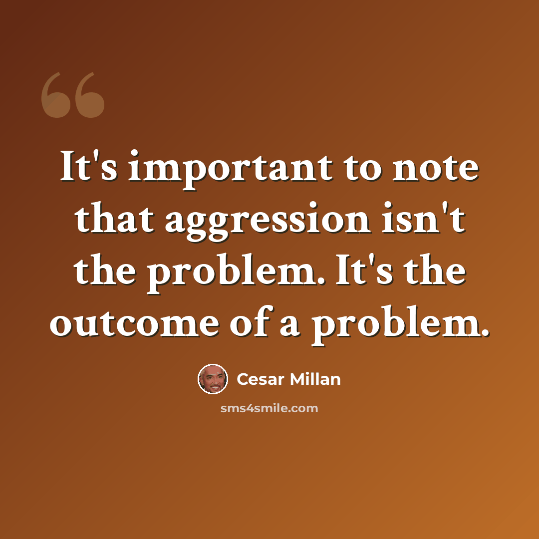“It's important to note that aggression isn't the problem. It's the outcome of a problem.” quote by Cesar Millan
