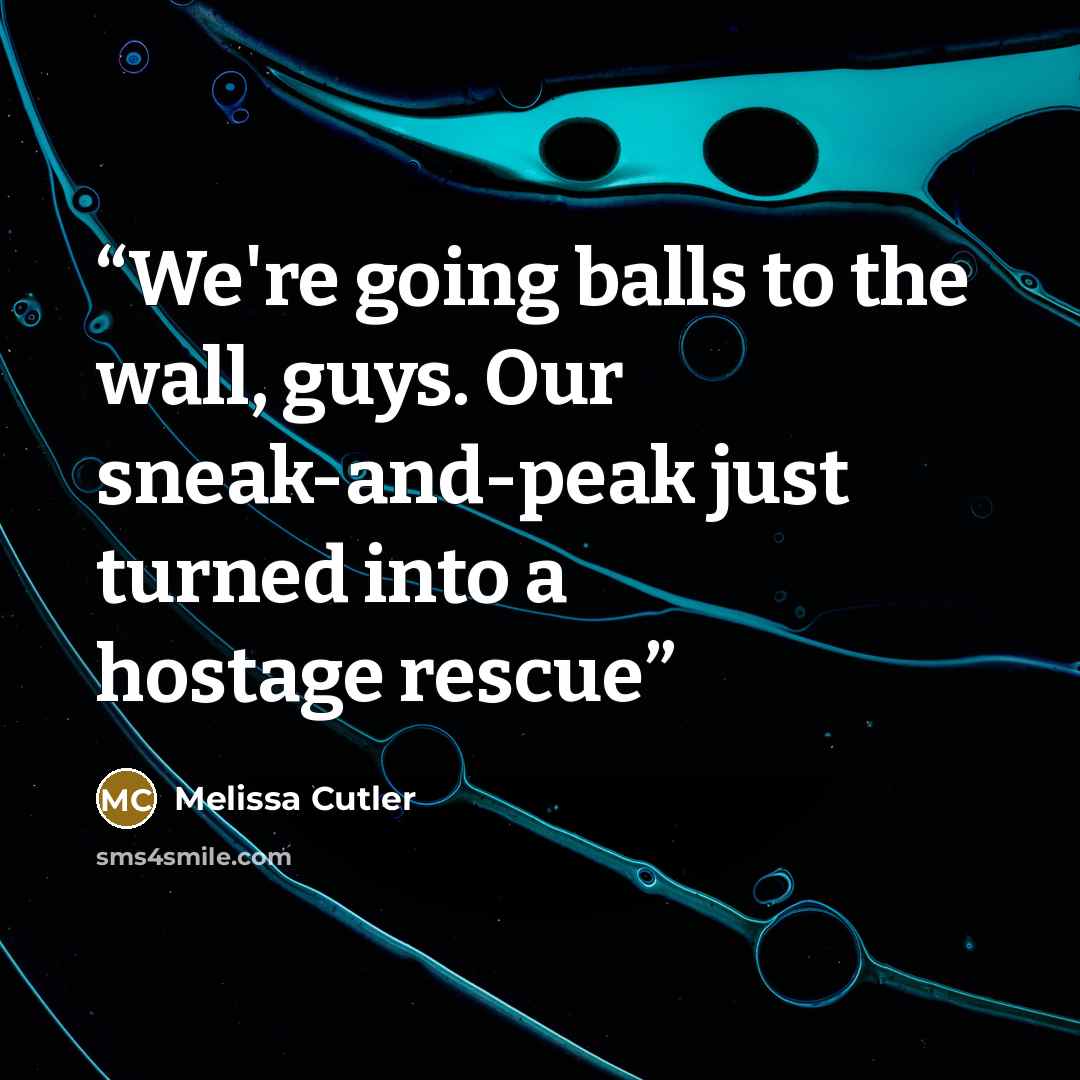 “We're going balls to the wall, guys. Our sneak-and-peak just turned into a hostage rescue” quote by melissa cutler