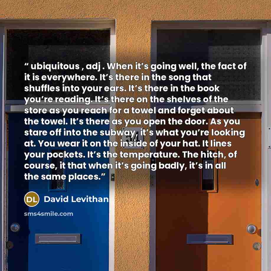 “ubiquitous , adj . When it’s going well, the fact of it is everywhere. It’s there in the song that shuffles into your ears. It’s there in the book you’re reading. It’s there on the shelves of the store as you reach for a towel and forget about the towel. It’s there as you open the door. As you…” quote by David Levithan