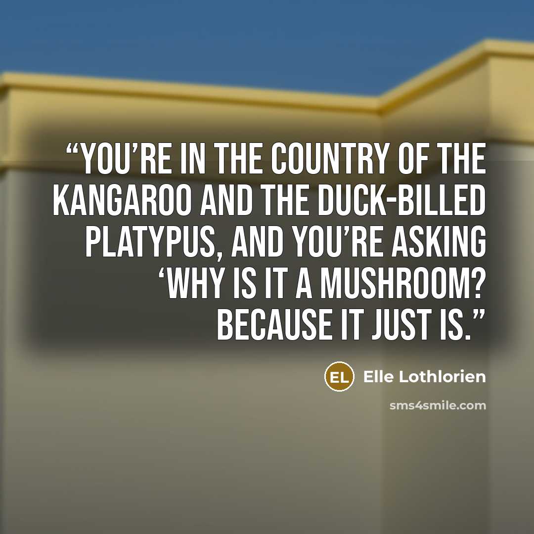 “You’re in the country of the kangaroo and the duck-billed platypus, and you’re asking ‘why is it a mushroom? Because it just IS.” quote by Elle Lothlorien
