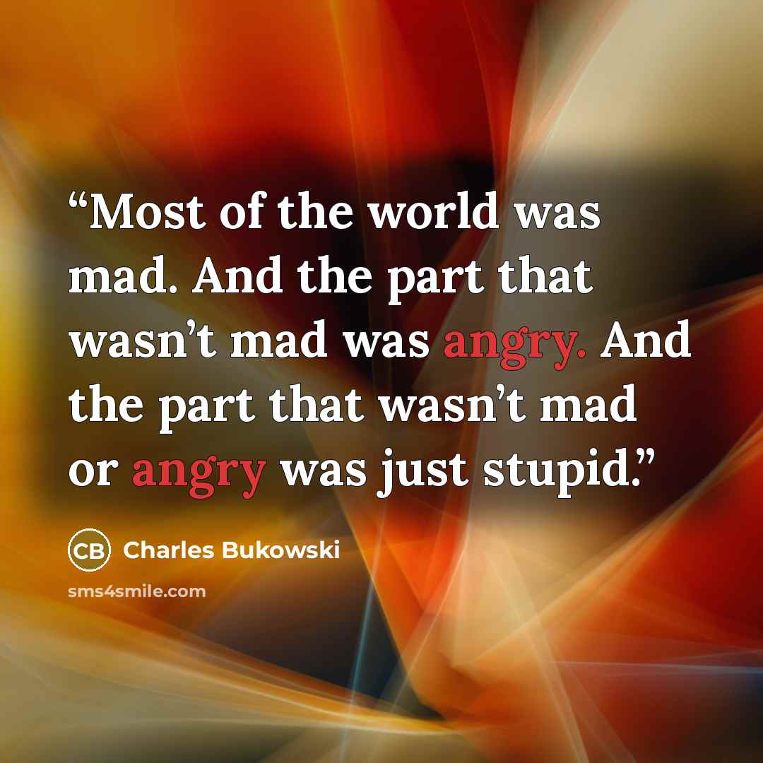“Most of the world was mad. And the part that wasn’t mad was angry. And the part that wasn’t mad or angry was just stupid.” quote by Charles Bukowski
