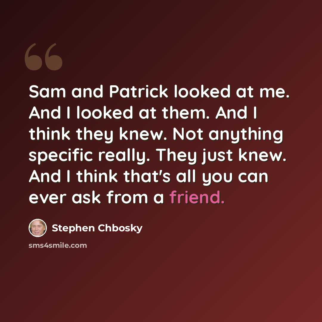 “Sam and Patrick looked at me. And I looked at them. And I think they knew. Not anything specific really. They just knew. And I think that's all you can ever ask from a friend.” quote by Stephen Chbosky