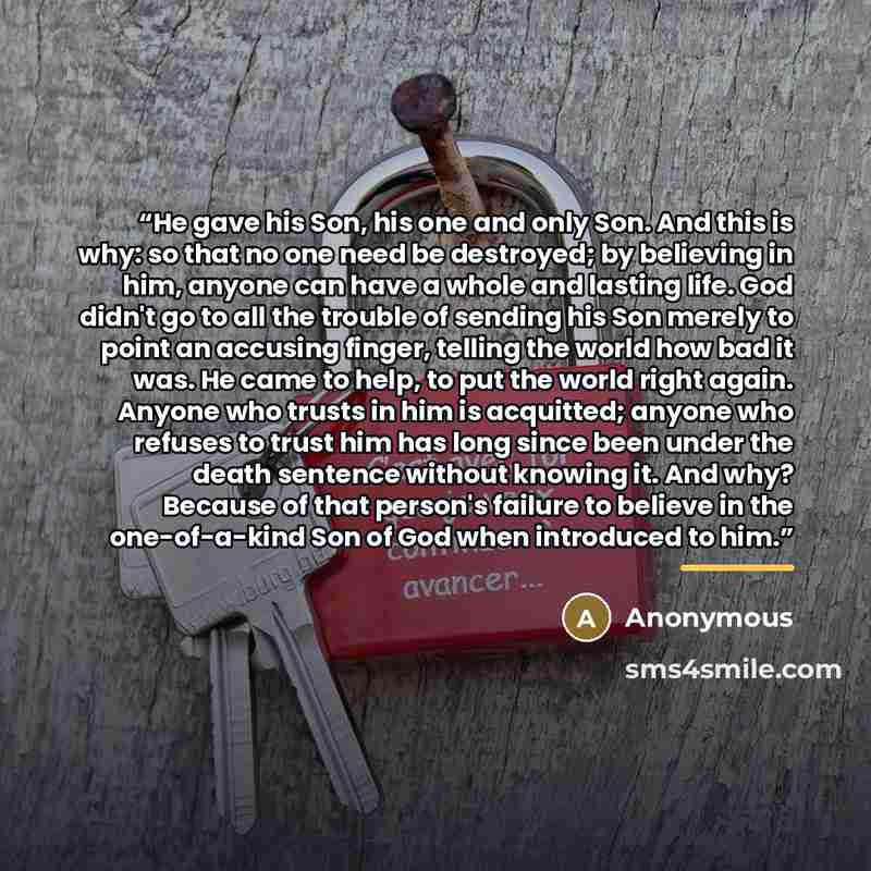 “He gave his Son, his one and only Son. And this is why: so that no one need be destroyed; by believing in him, anyone can have a whole and lasting life. God didn't go to all the trouble of sending his Son merely to point an accusing finger, telling the world how bad it was. He came to help, to put…” quote by Anonymous
