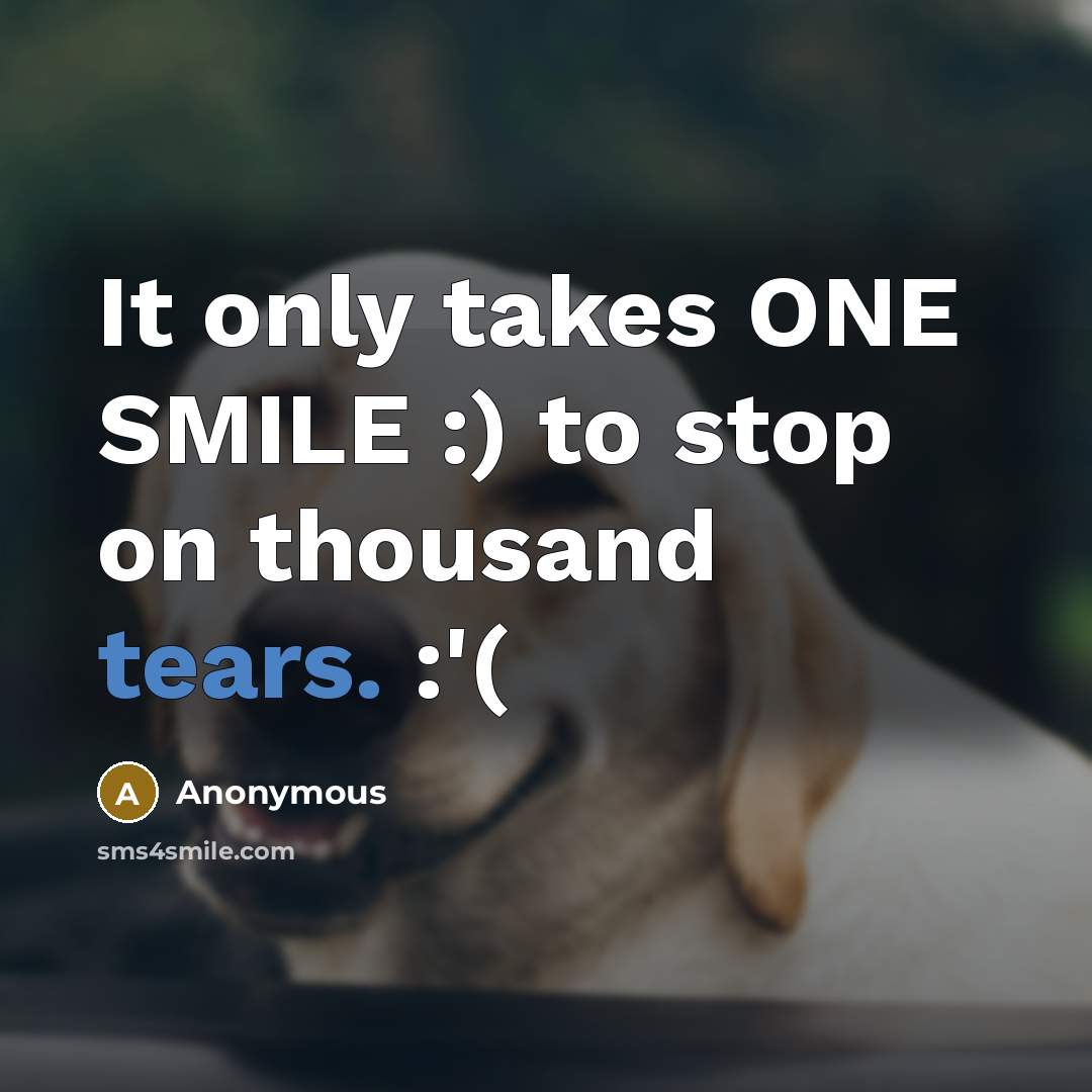 “It only takes ONE SMILE :) to stop on thousand tears. :'(” quote by Anonymous