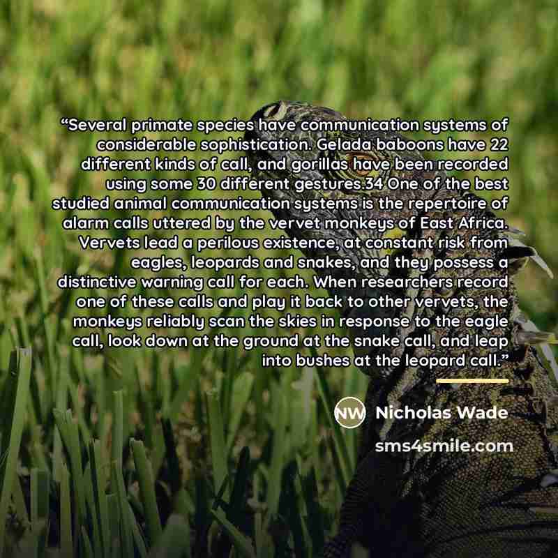 “Several primate species have communication systems of considerable sophistication. Gelada baboons have 22 different kinds of call, and gorillas have been recorded using some 30 different gestures.34 One of the best studied animal communication systems is the repertoire of alarm calls uttered by…” quote by Nicholas Wade