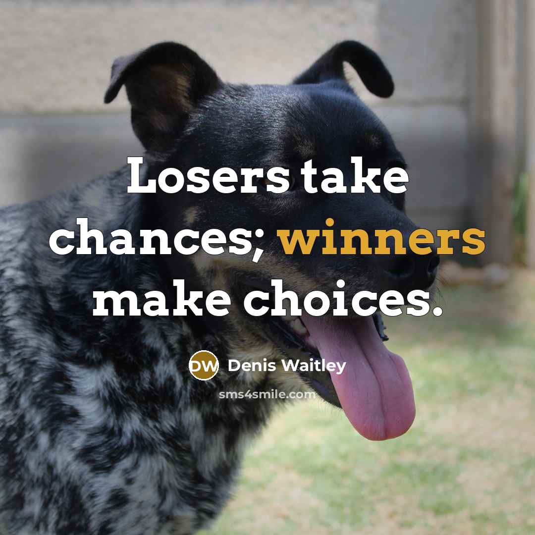 “Losers take chances; winners make choices.” quote by Denis Waitley