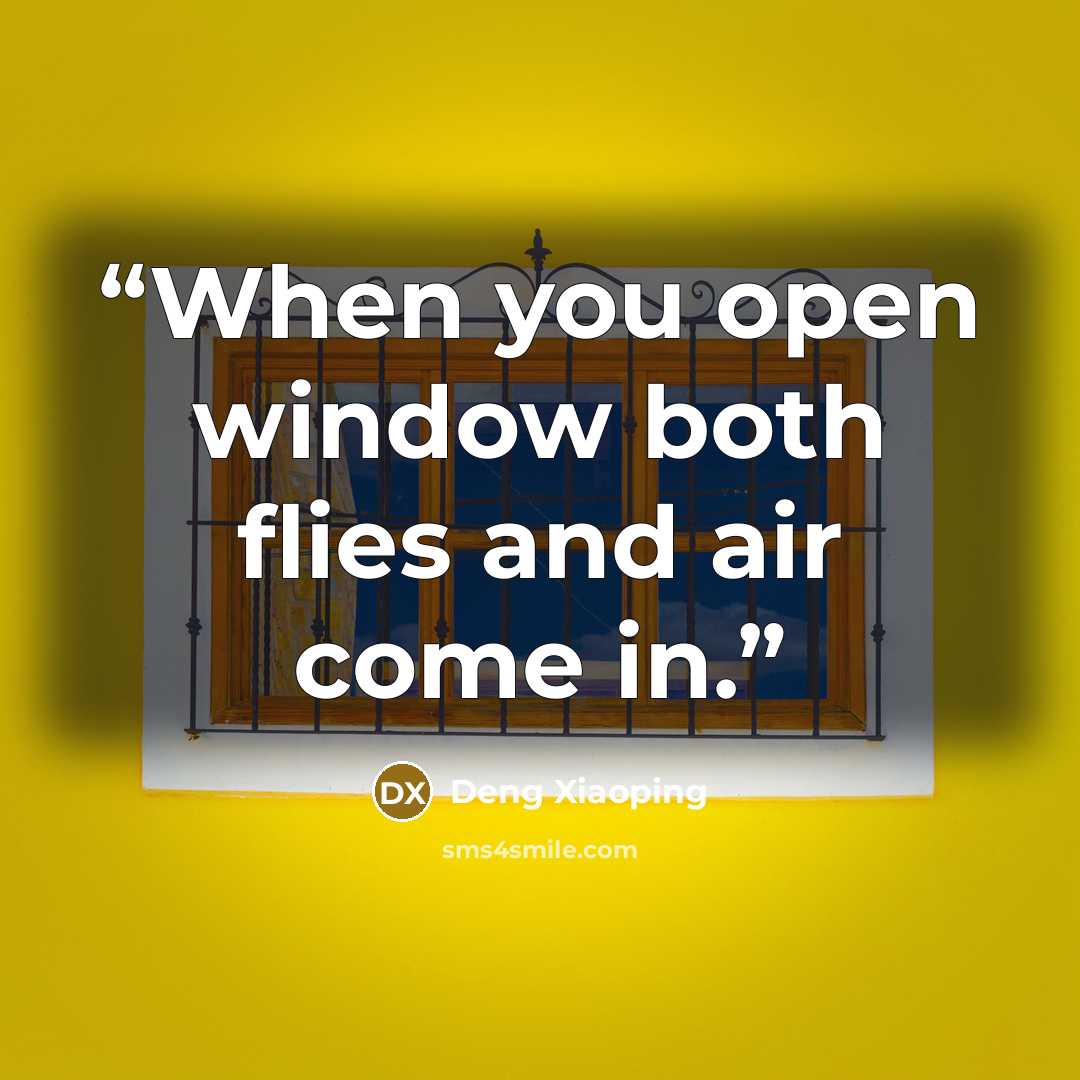 “When you open window both flies and air come in.” quote by Deng Xiaoping