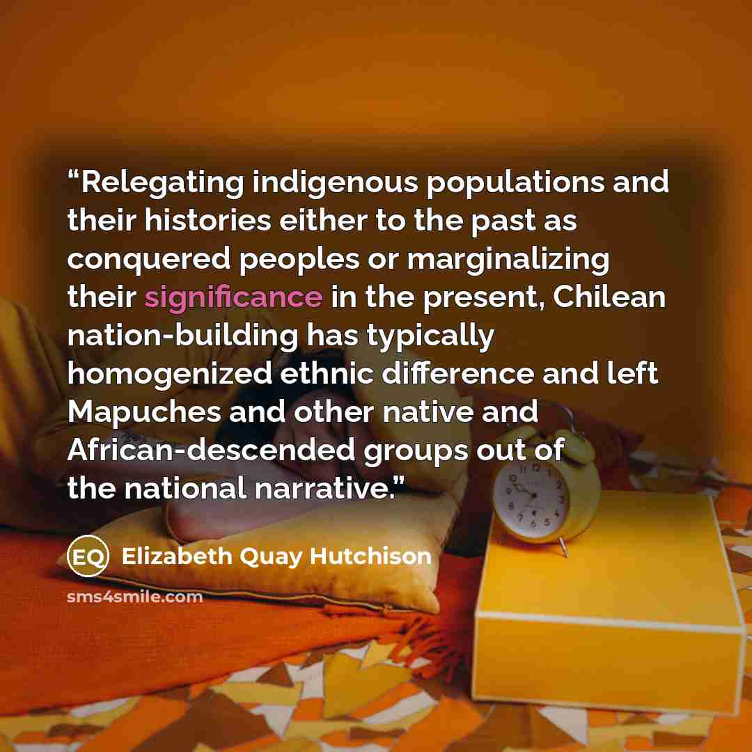 “Relegating indigenous populations and their histories either to the past as conquered peoples or marginalizing their significance in the present, Chilean nation-building has typically homogenized ethnic difference and left Mapuches and other native and African-descended groups out of the national…” quote by Elizabeth Quay Hutchison