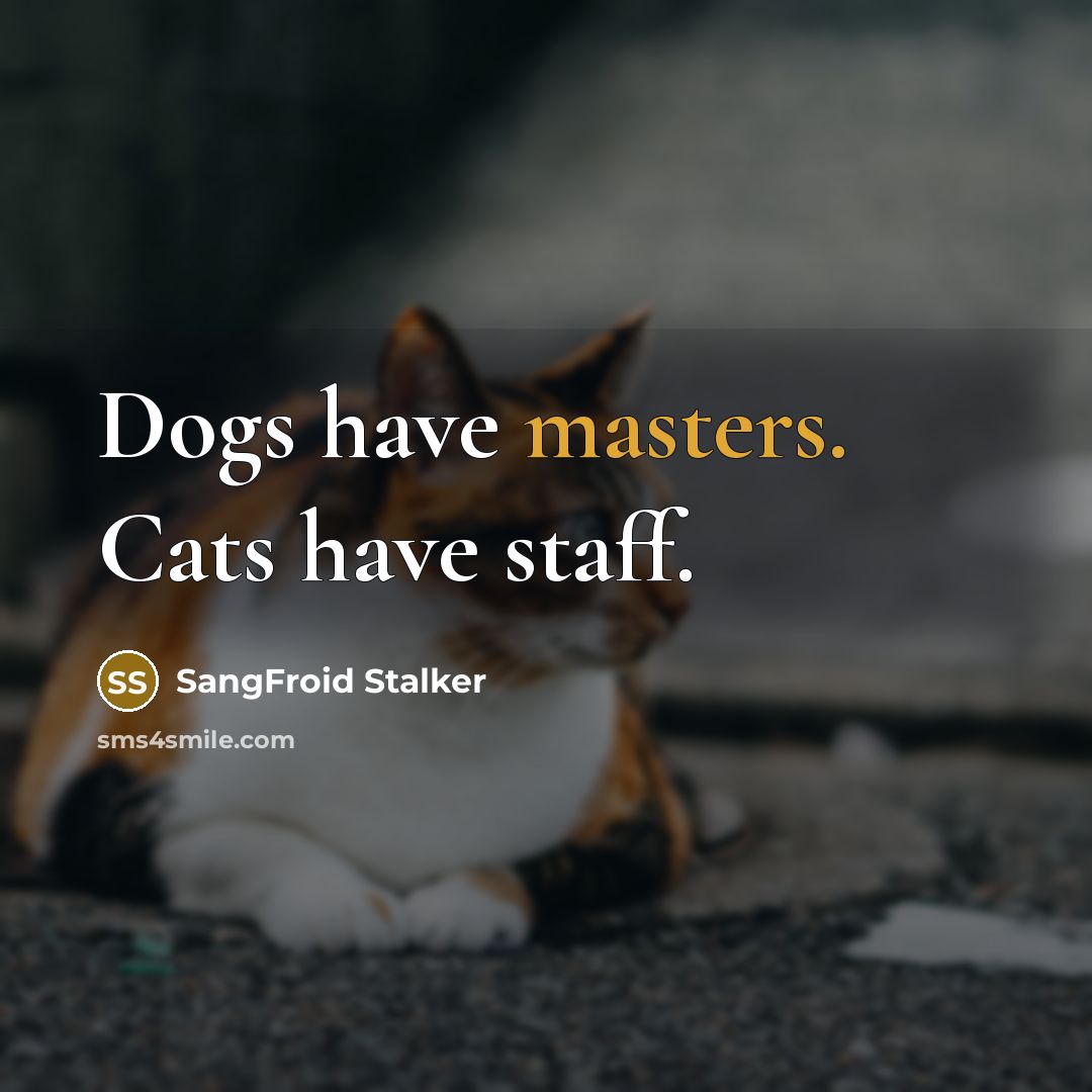 “Dogs have masters. Cats have staff.” quote by SangFroid Stalker