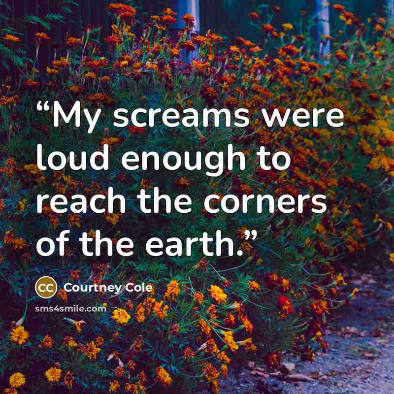 “My screams were loud enough to reach the corners of the earth.” quote by Courtney Cole