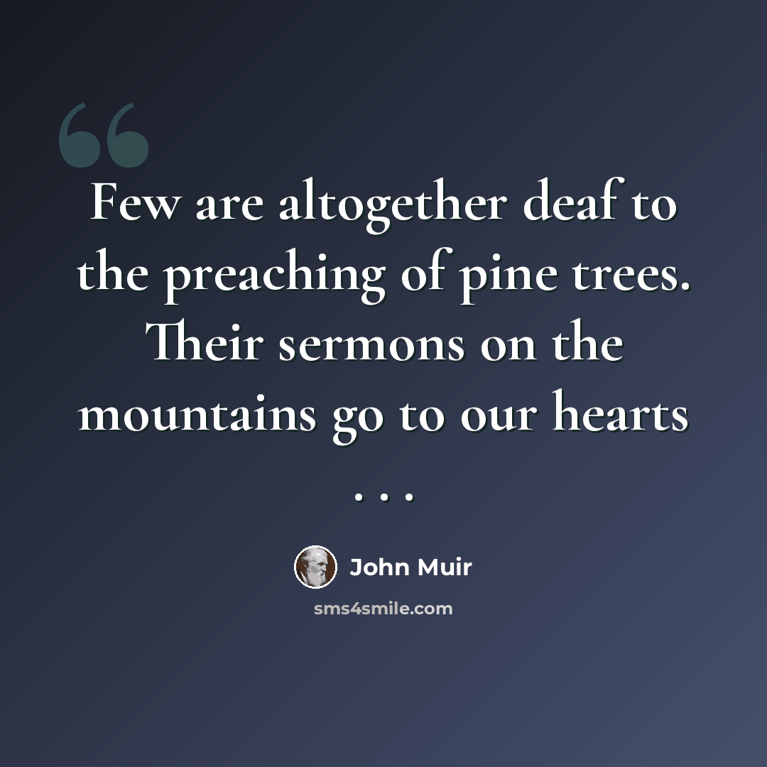 “Few are altogether deaf to the preaching of pine trees. Their sermons on the mountains go to our hearts . . .” quote by John Muir