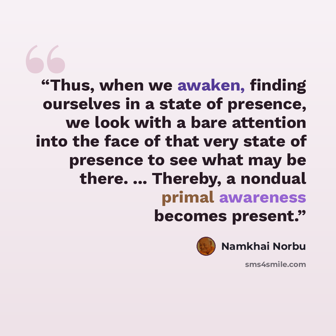 “Thus, when we awaken, finding ourselves in a state of presence, we look with a bare attention into the face of that very state of presence to see what may be there. ... Thereby, a nondual primal awareness becomes present.” quote by Namkhai Norbu