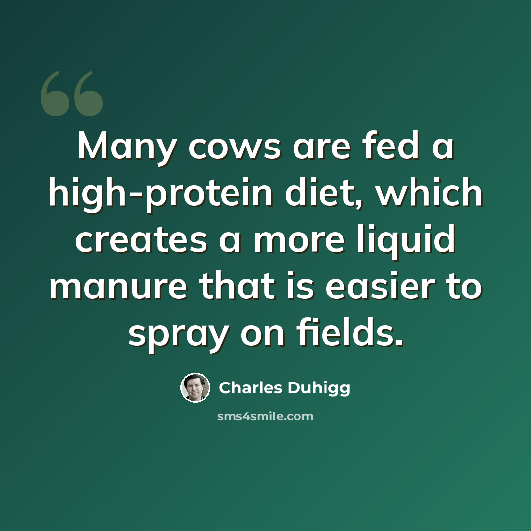 “Many cows are fed a high-protein diet, which creates a more liquid manure that is easier to spray on fields.” quote by Charles Duhigg