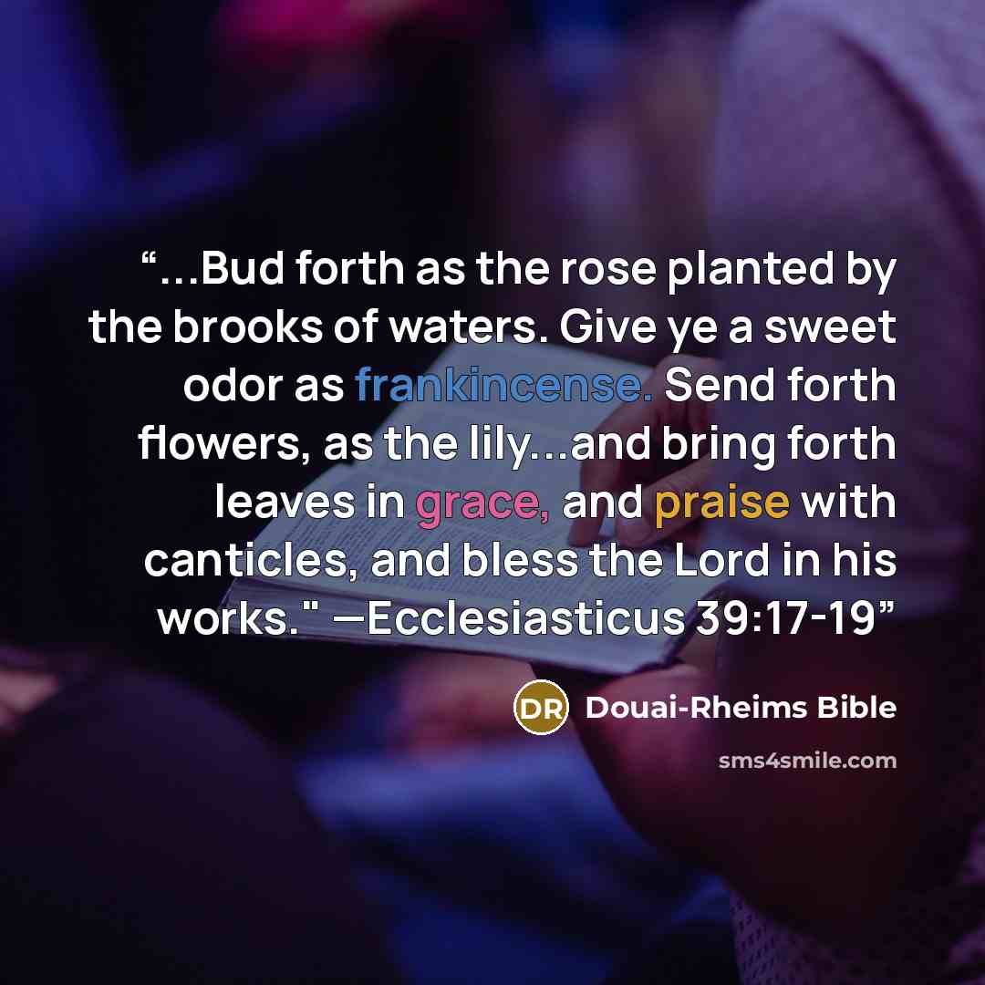 “...Bud forth as the rose planted by the brooks of waters. Give ye a sweet odor as frankincense. Send forth flowers, as the lily...and bring forth leaves in grace, and praise with canticles, and bless the Lord in his works." —Ecclesiasticus 39:17-19” quote by Douai-Rheims Bible