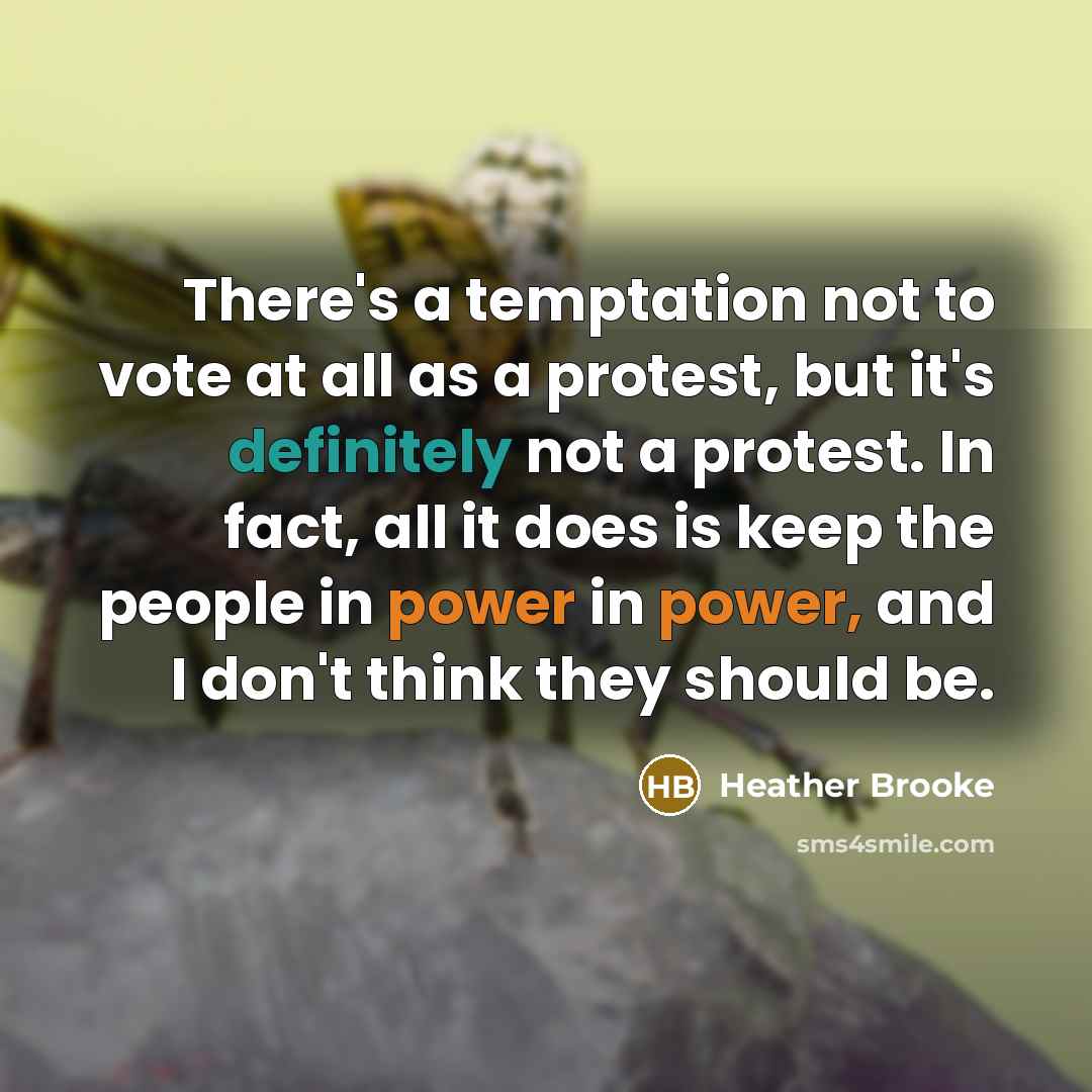 “There's a temptation not to vote at all as a protest, but it's definitely not a protest. In fact, all it does is keep the people in power in power, and I don't think they should be.” quote by Heather Brooke
