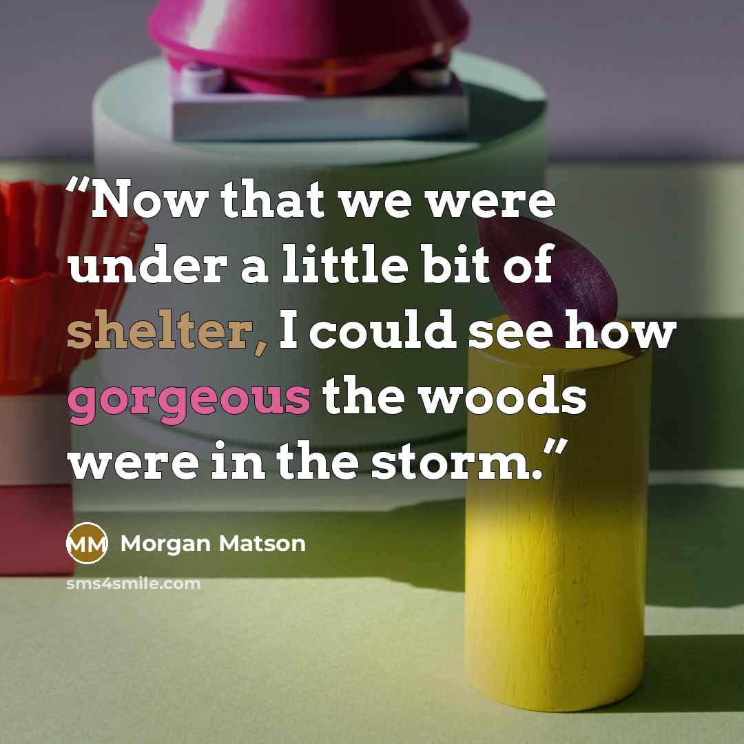 “Now that we were under a little bit of shelter, I could see how gorgeous the woods were in the storm.” quote by Morgan Matson