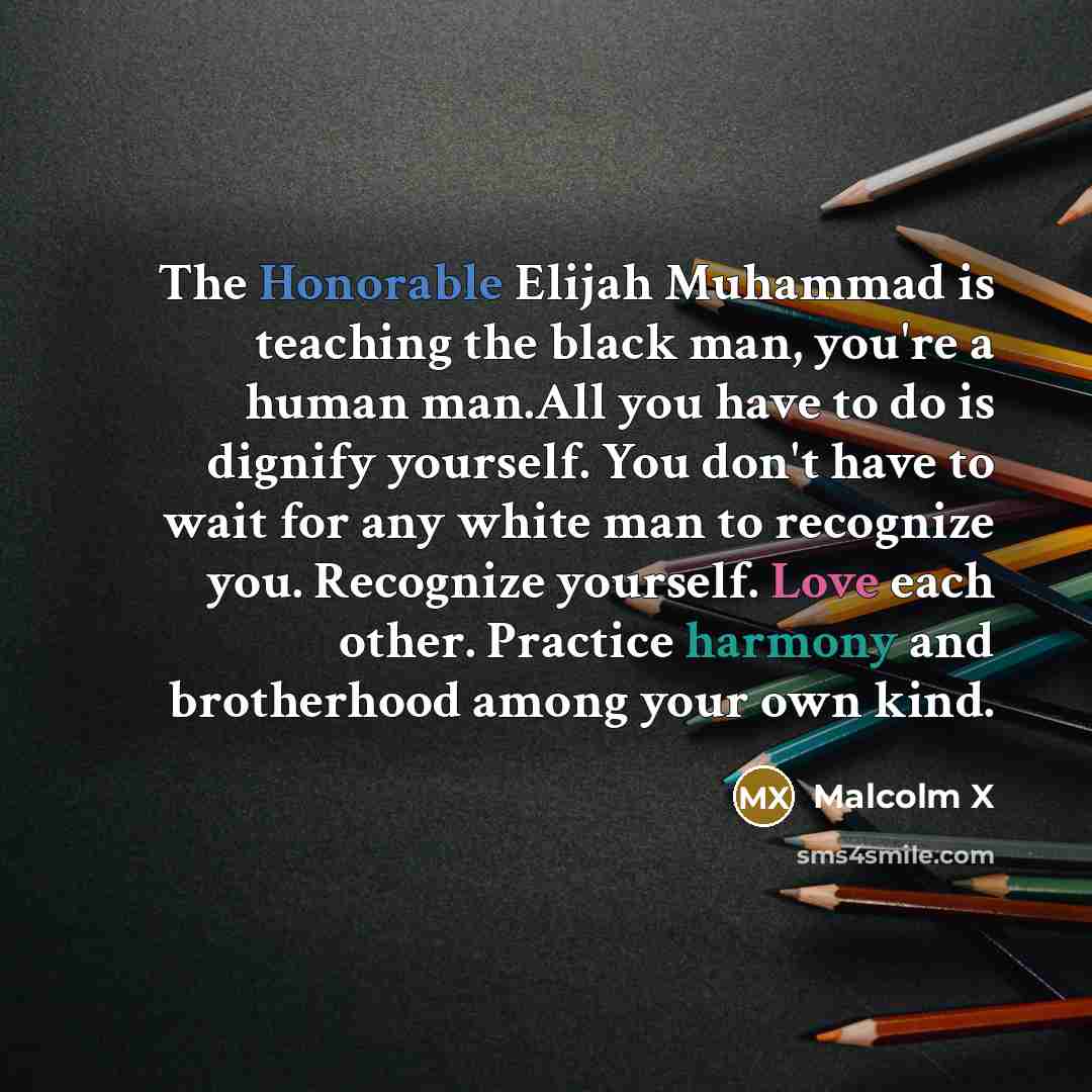 “The Honorable Elijah Muhammad is teaching the black man, you're a human man.All you have to do is dignify yourself. You don't have to wait for any white man to recognize you. Recognize yourself. Love each other. Practice harmony and brotherhood among your own kind.” quote by Malcolm X