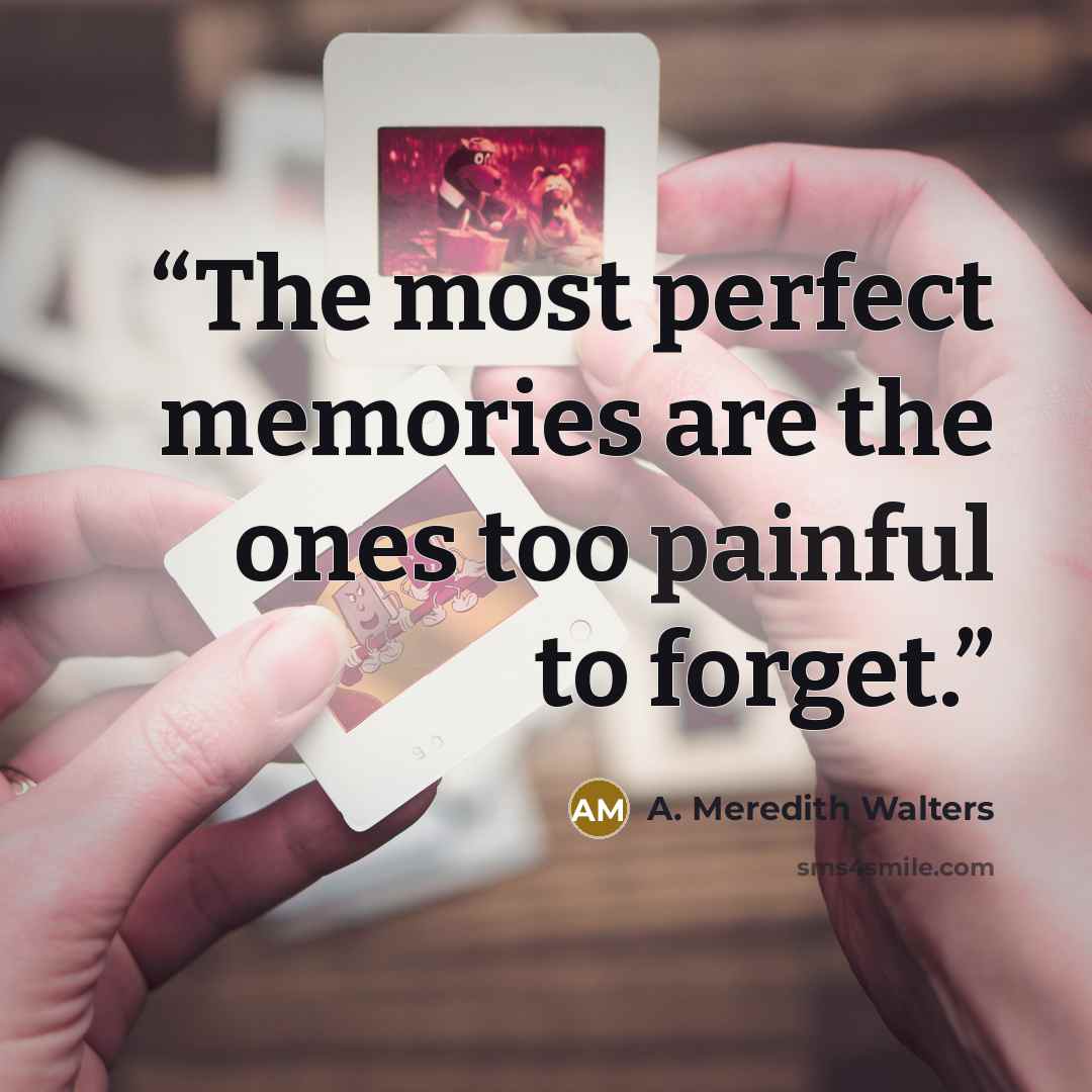 “The most perfect memories are the ones too painful to forget.” quote by A. Meredith Walters