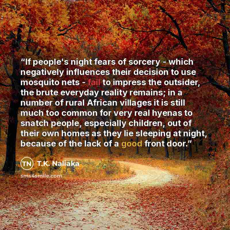 “If people's night fears of sorcery - which negatively influences their decision to use mosquito nets - fail to impress the outsider, the brute everyday reality remains; in a number of rural African villages it is still much too common for very real hyenas to snatch people, especially children, out…” quote by T.K. Naliaka