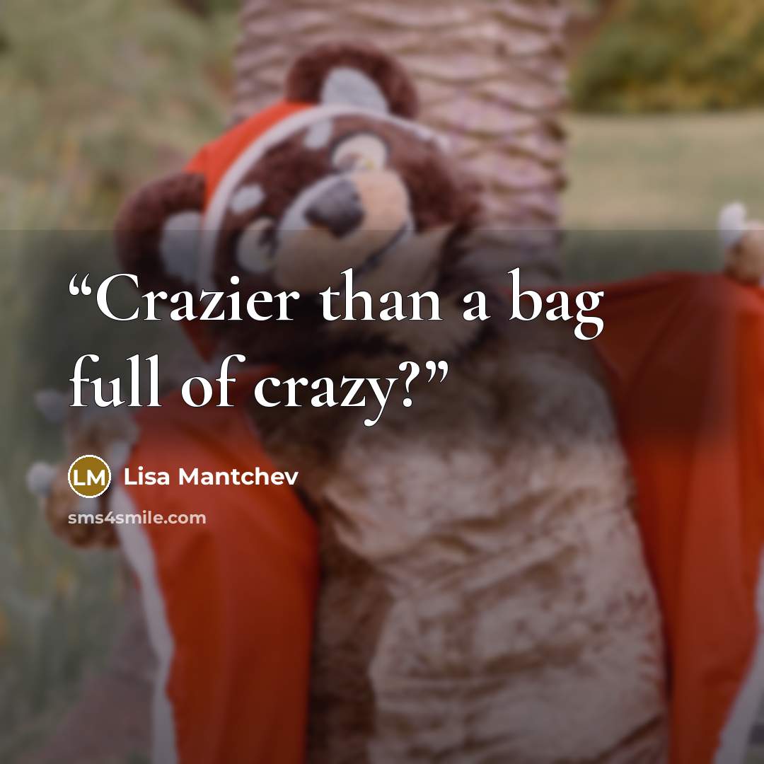 “Crazier than a bag full of crazy?” quote by Lisa Mantchev