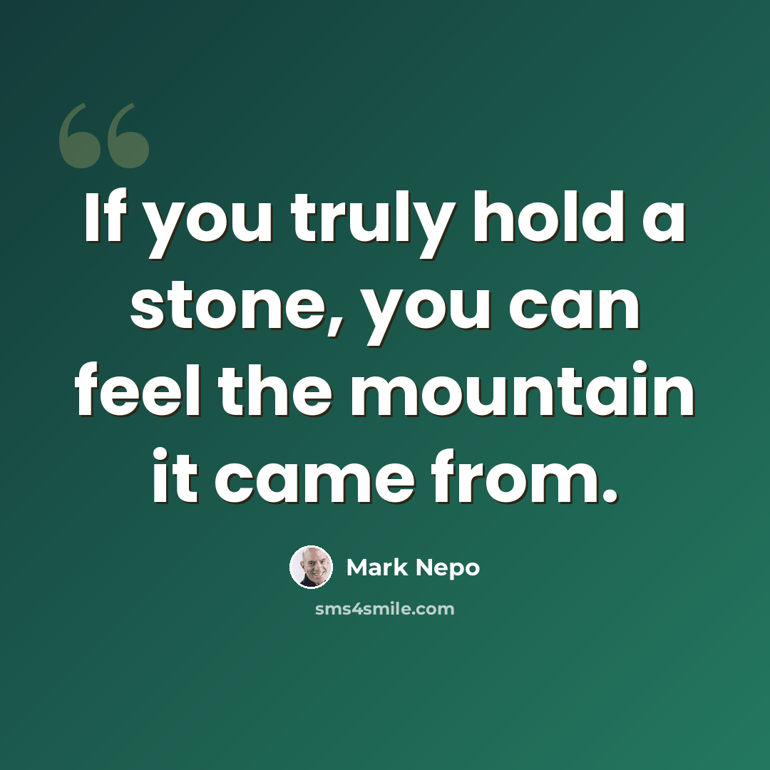 “If you truly hold a stone, you can feel the mountain it came from.” quote by Mark Nepo