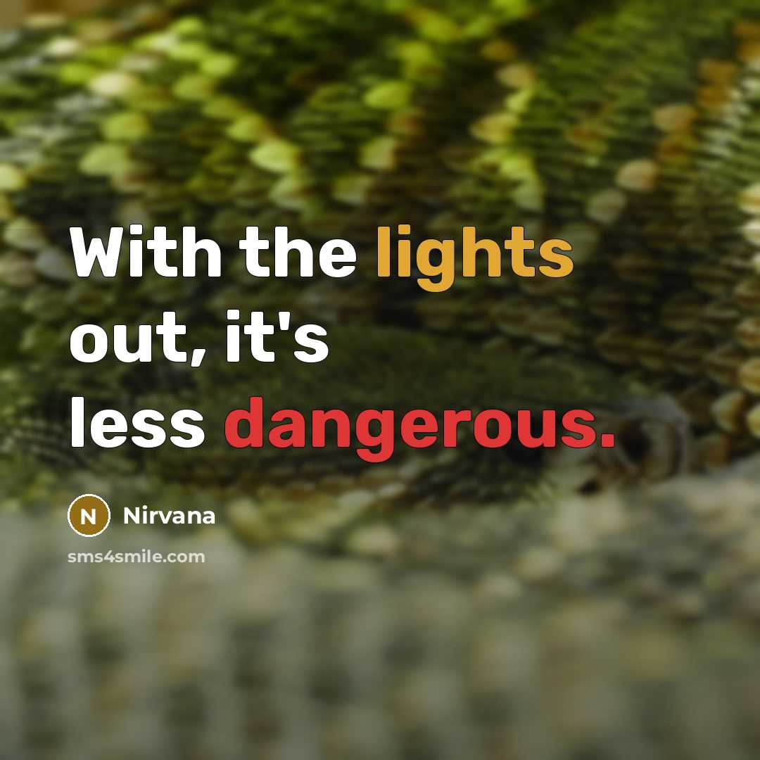 “With the lights out, it's less dangerous.” quote by Nirvana