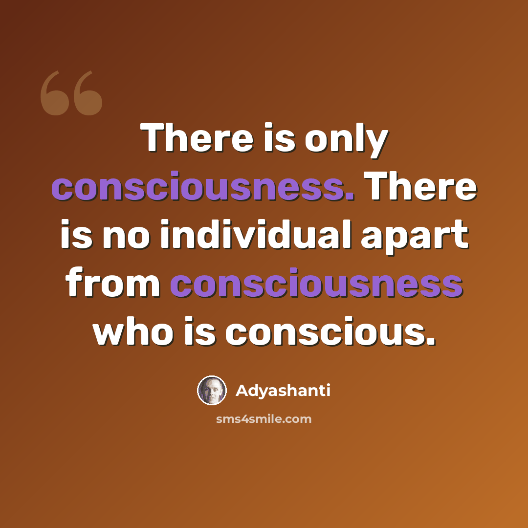 “There is only consciousness. There is no individual apart from consciousness who is conscious.” quote by Adyashanti