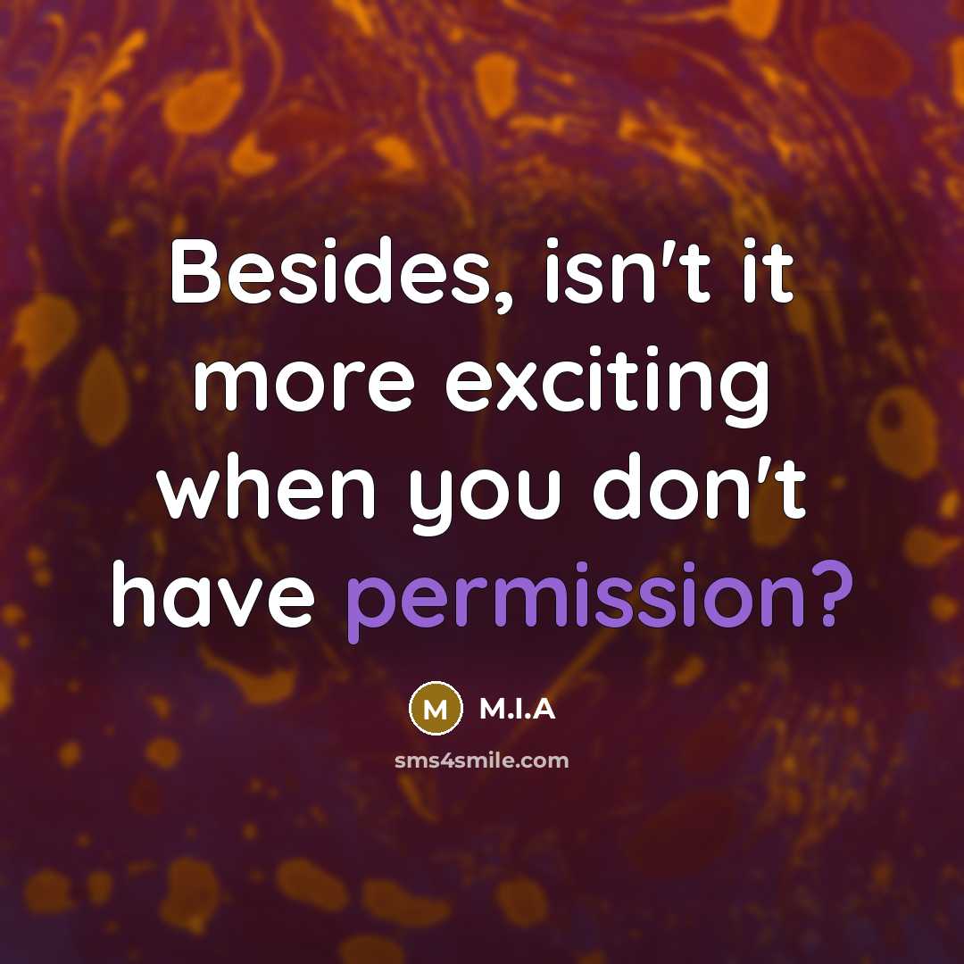 “Besides, isn't it more exciting when you don't have permission?” quote by M.I.A