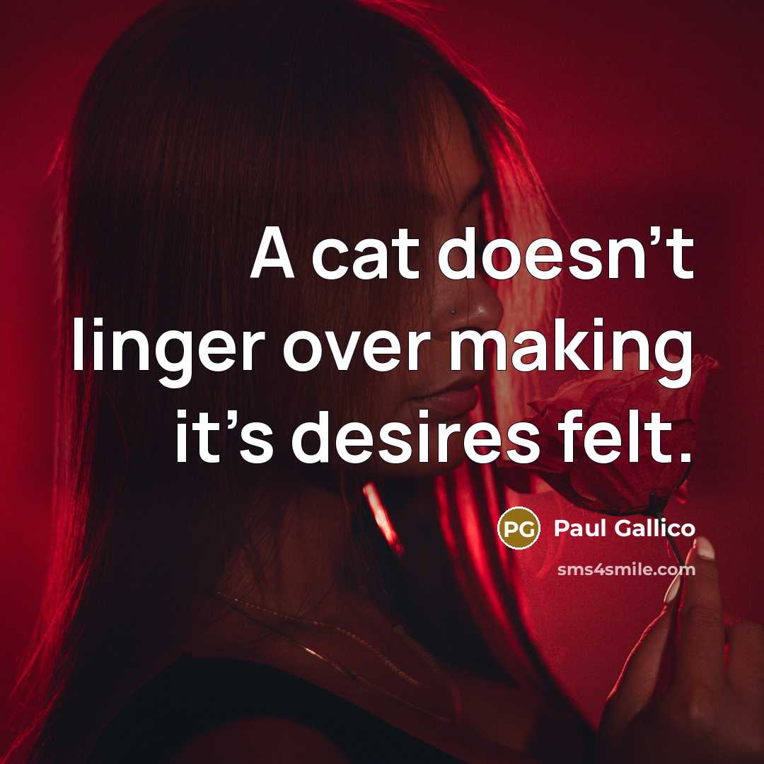 “A cat doesn't linger over making it's desires felt.” quote by Paul Gallico