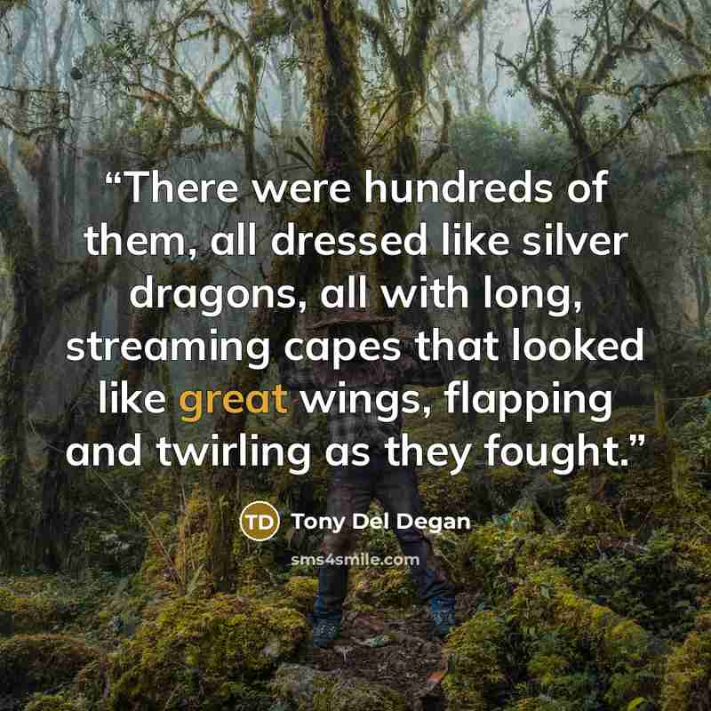 “There were hundreds of them, all dressed like silver dragons, all with long, streaming capes that looked like great wings, flapping and twirling as they fought.” quote by Tony Del Degan
