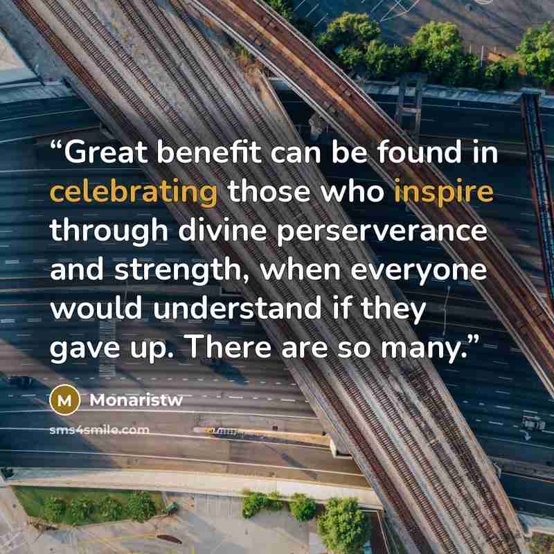 “Great benefit can be found in celebrating those who inspire through divine perserverance and strength, when everyone would understand if they gave up. There are so many.” quote by Monaristw