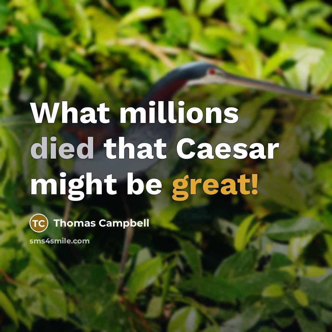“What millions died that Caesar might be great!” quote by Thomas Campbell