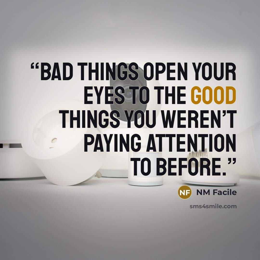 “Bad things open your eyes to the good things you weren’t paying attention to before.” quote by NM Facile