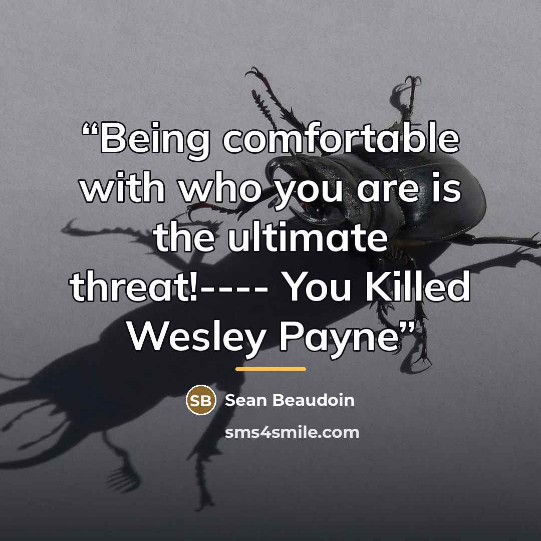 “Being comfortable with who you are is the ultimate threat!---- You Killed Wesley Payne” quote by Sean Beaudoin