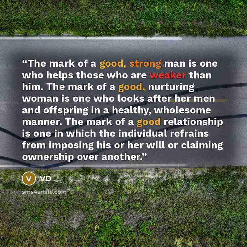 “The mark of a good, strong man is one who helps those who are weaker than him. The mark of a good, nurturing woman is one who looks after her men and offspring in a healthy, wholesome manner. The mark of a good relationship is one in which the individual refrains from imposing his or her will or…” quote by VD