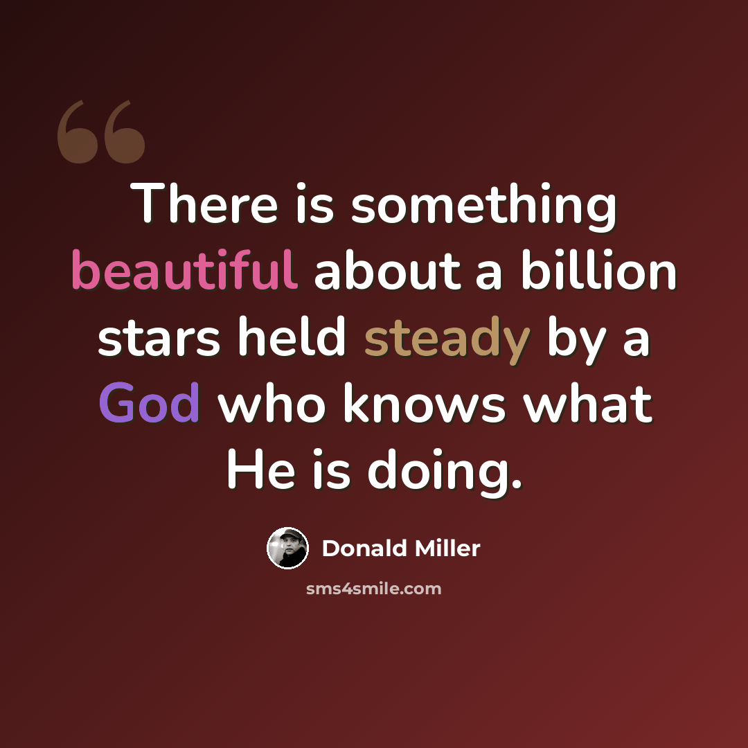 “There is something beautiful about a billion stars held steady by a God who knows what He is doing.” quote by Donald Miller