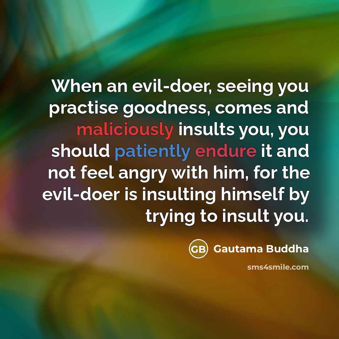 “When an evil-doer, seeing you practise goodness, comes and maliciously insults you, you should patiently endure it and not feel angry with him, for the evil-doer is insulting himself by trying to insult you.” quote by Gautama Buddha