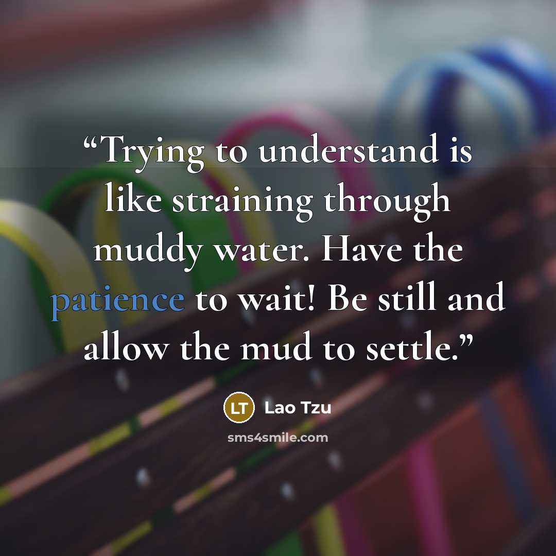 “Trying to understand is like straining through muddy water. Have the patience to wait! Be still and allow the mud to settle.” quote by Lao Tzu